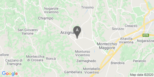 mappa 43, Via Enrico Fermi - Arzignano (VI)  bici  a Vicenza